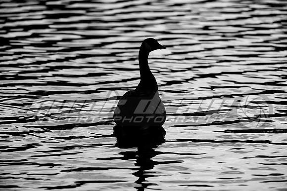 park-oct2014-003