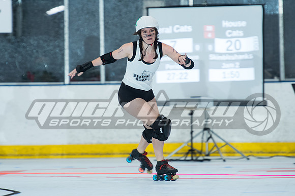 gsr-cats-20250823-013