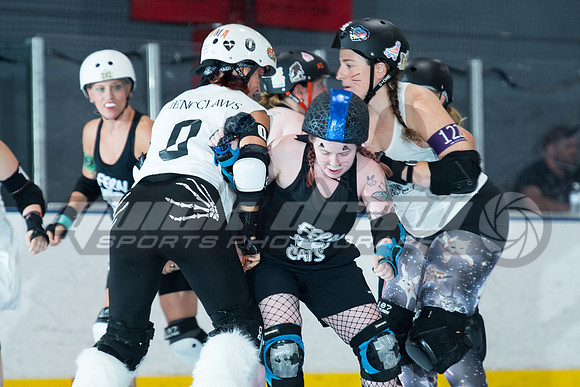 gsr-cats-20250823-018